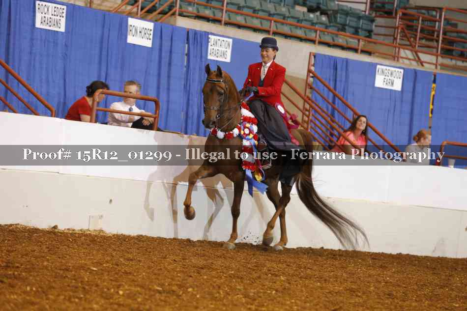 Proof 15R12_01299