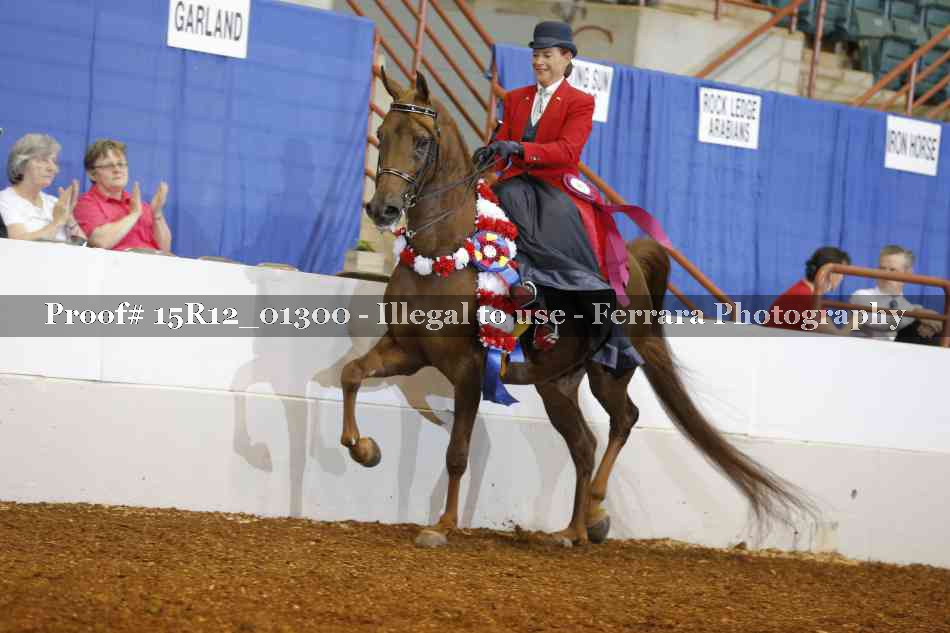 Proof 15R12_01300
