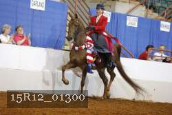 15R12_01300 proof