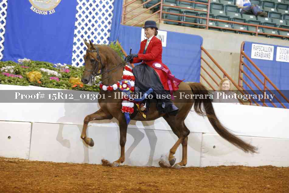 Proof 15R12_01301