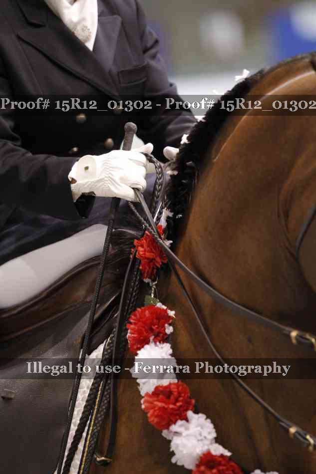 Proof 15R12_01302