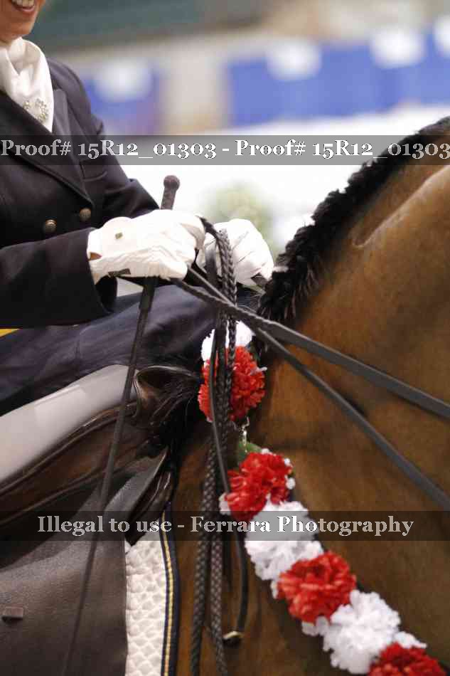 Proof 15R12_01303