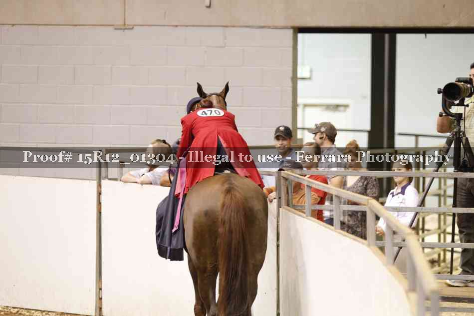 Proof 15R12_01304
