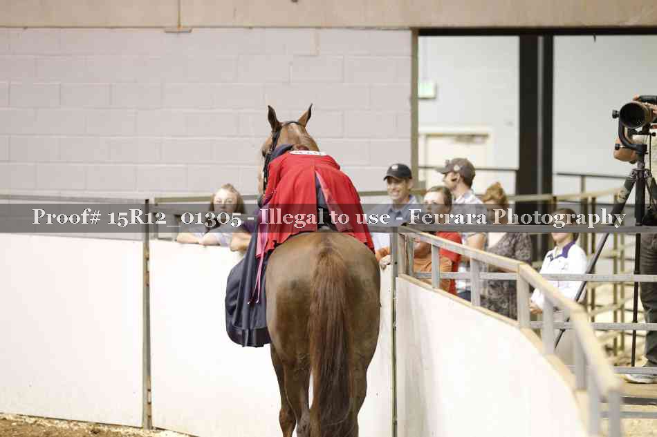 Proof 15R12_01305
