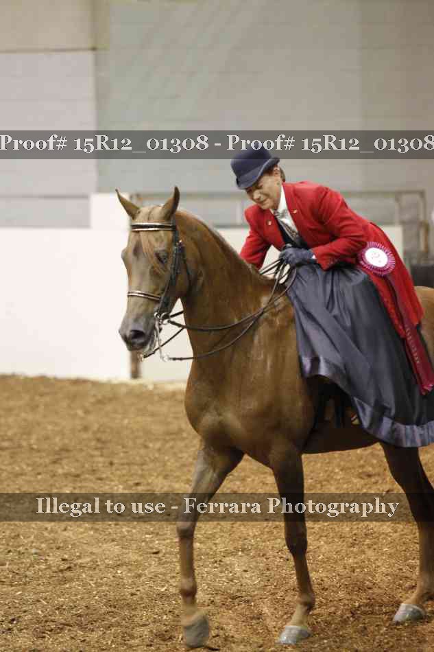 Proof 15R12_01308