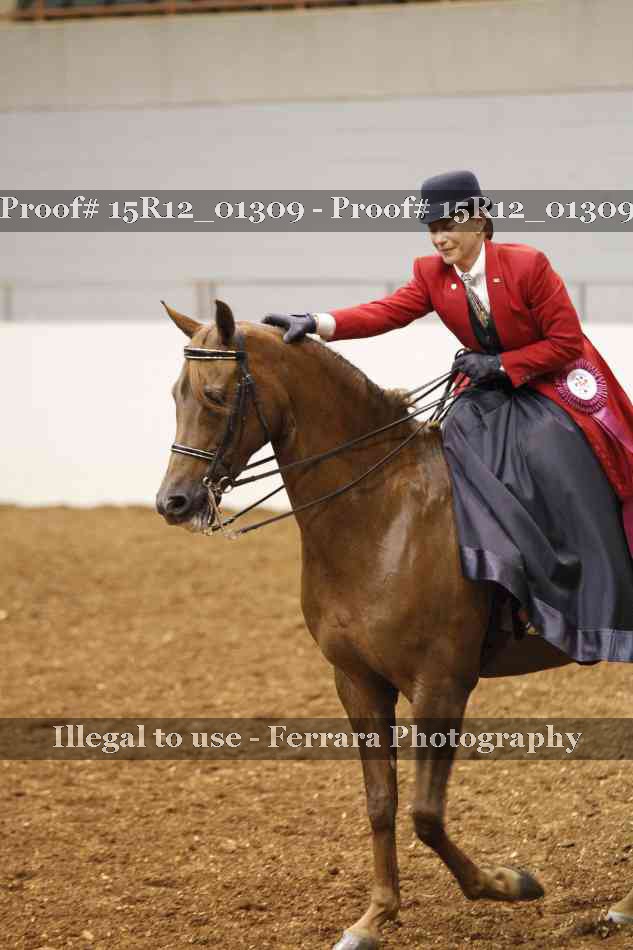 Proof 15R12_01309