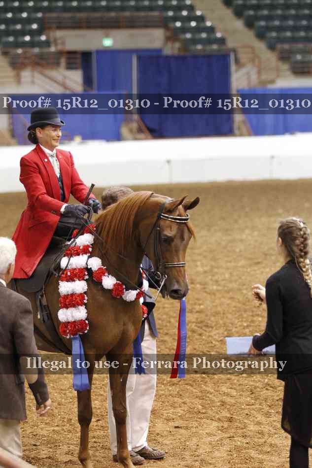 Proof 15R12_01310