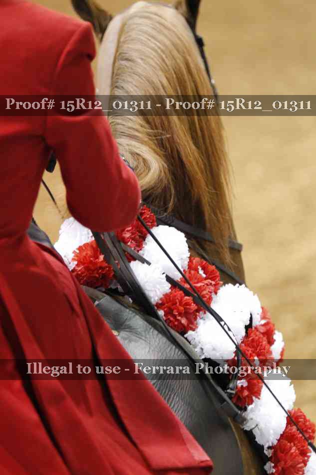 Proof 15R12_01311