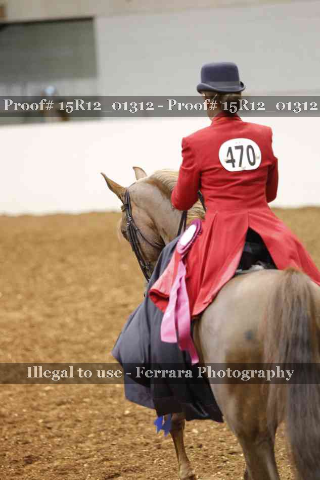 Proof 15R12_01312