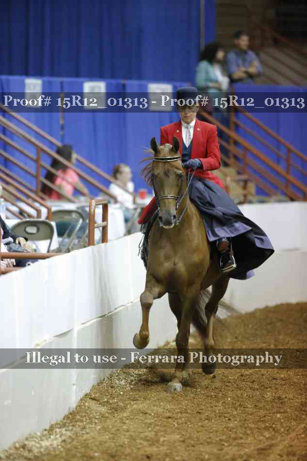 Proof 15R12_01313