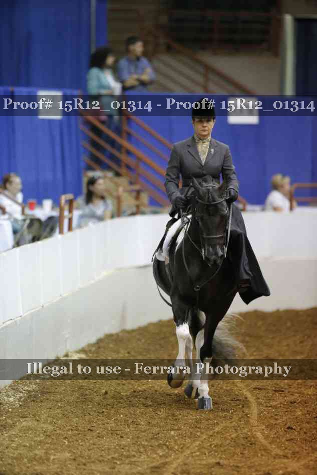 Proof 15R12_01314