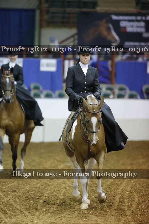 Proof 15R12_01316