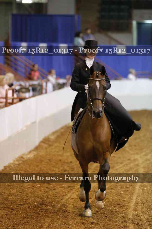 Proof 15R12_01317