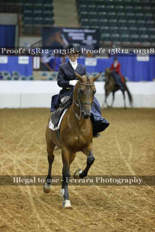 Proof 15R12_01318