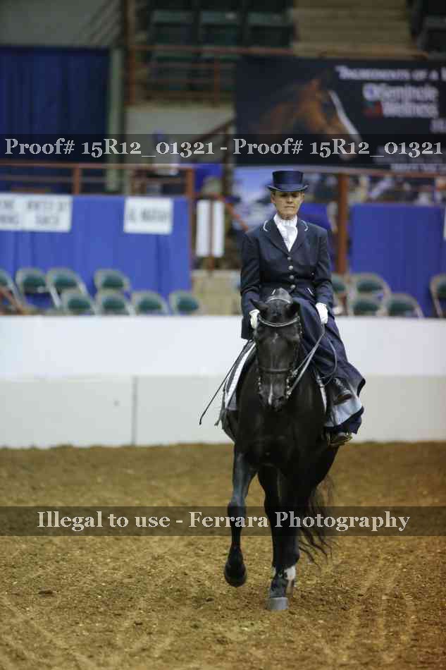 Proof 15R12_01321