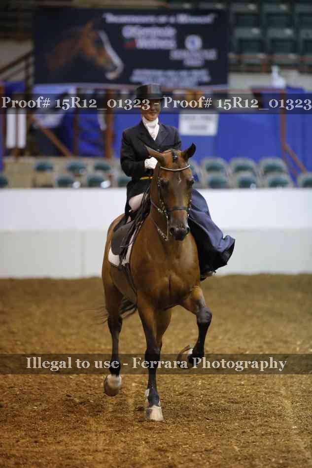 Proof 15R12_01323