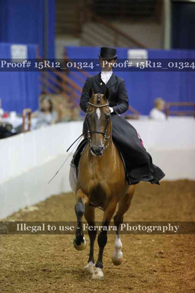 Proof 15R12_01324