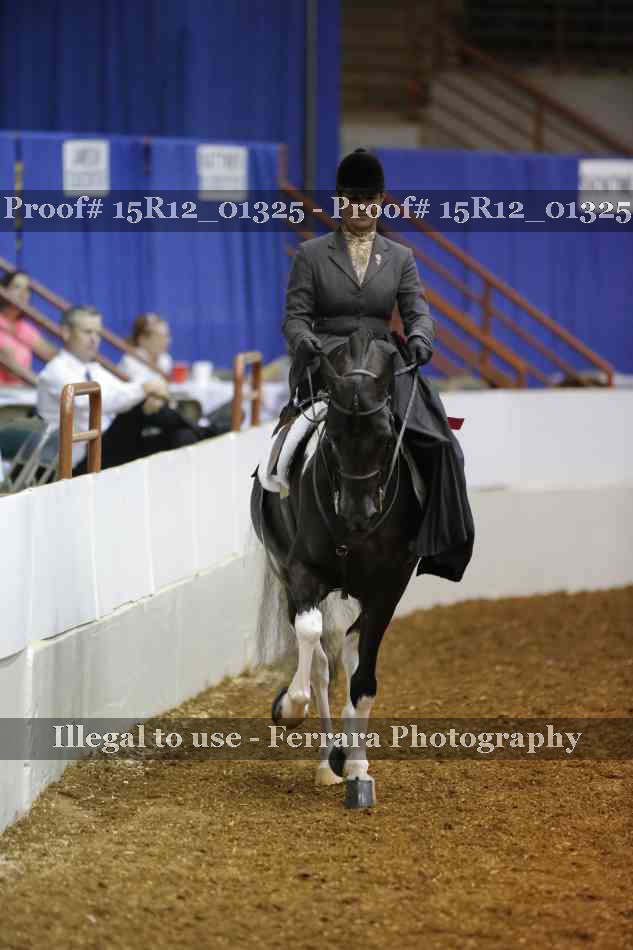 Proof 15R12_01325