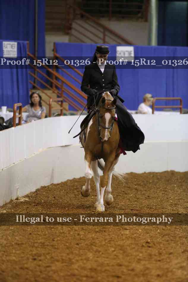 Proof 15R12_01326