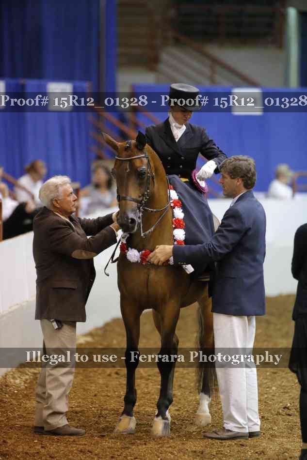 Proof 15R12_01328