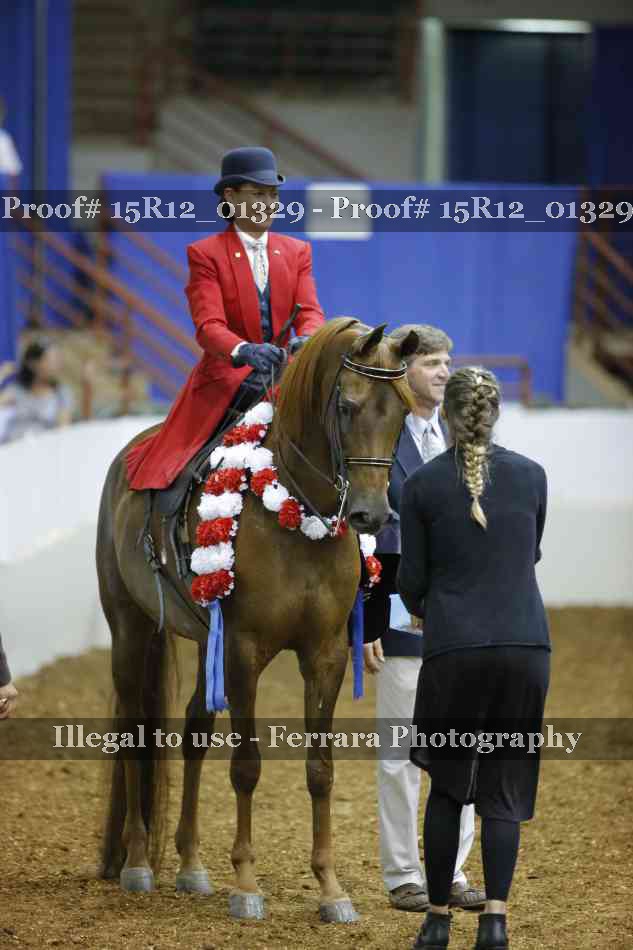 Proof 15R12_01329