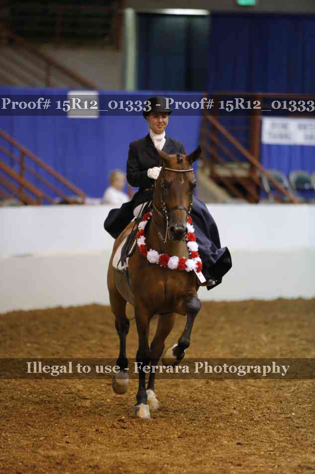 Proof 15R12_01333