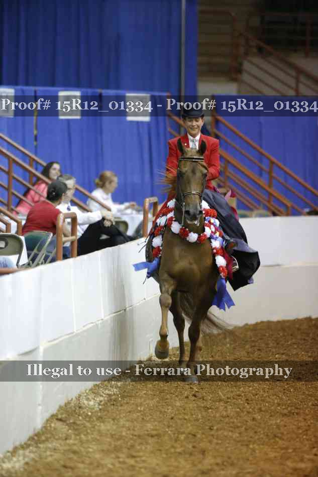 Proof 15R12_01334