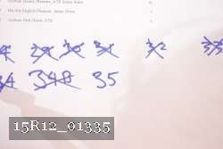 15R12_01335 proof