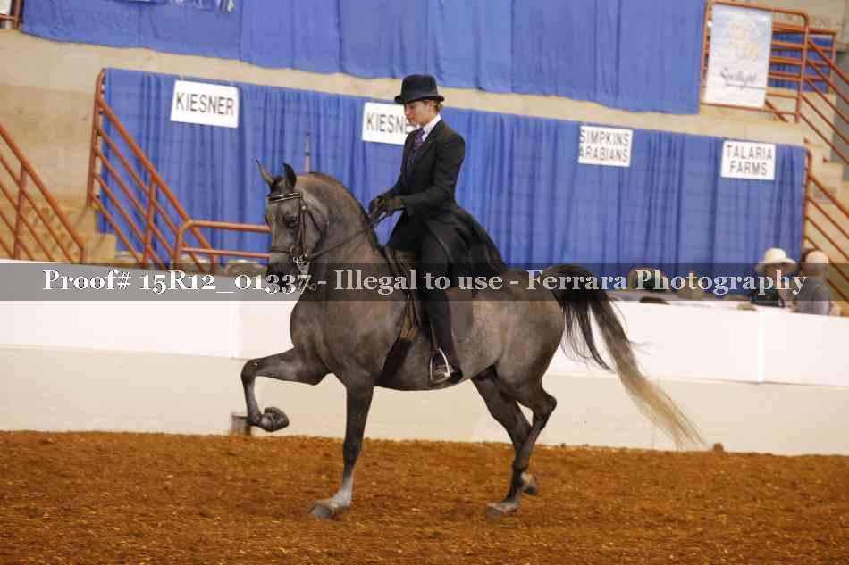 Proof 15R12_01337