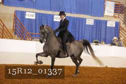 15R12_01337 proof