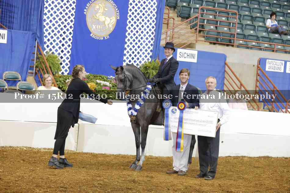 Proof 15R12_01340