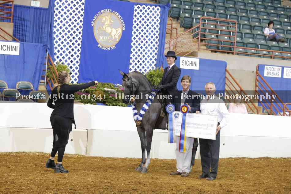 Proof 15R12_01341