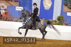 15R12_01344 proof