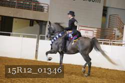15R12_01346 proof