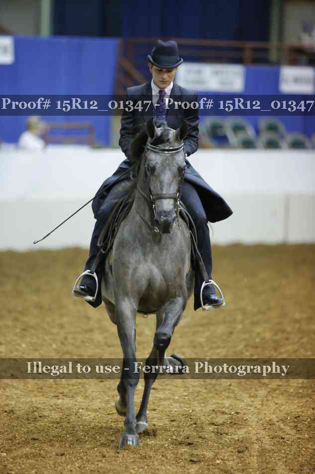 Proof 15R12_01347