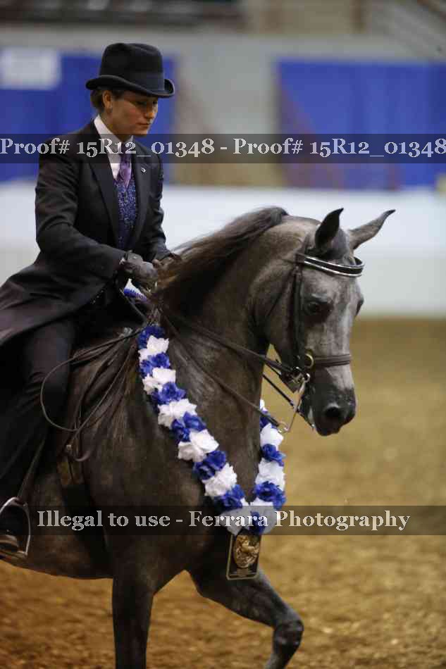 Proof 15R12_01348