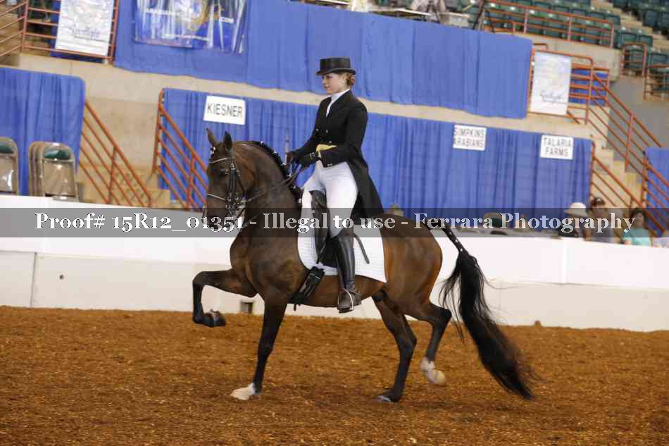 Proof 15R12_01351
