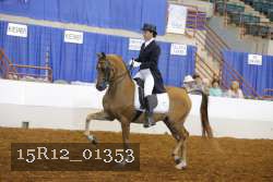 15R12_01353 proof