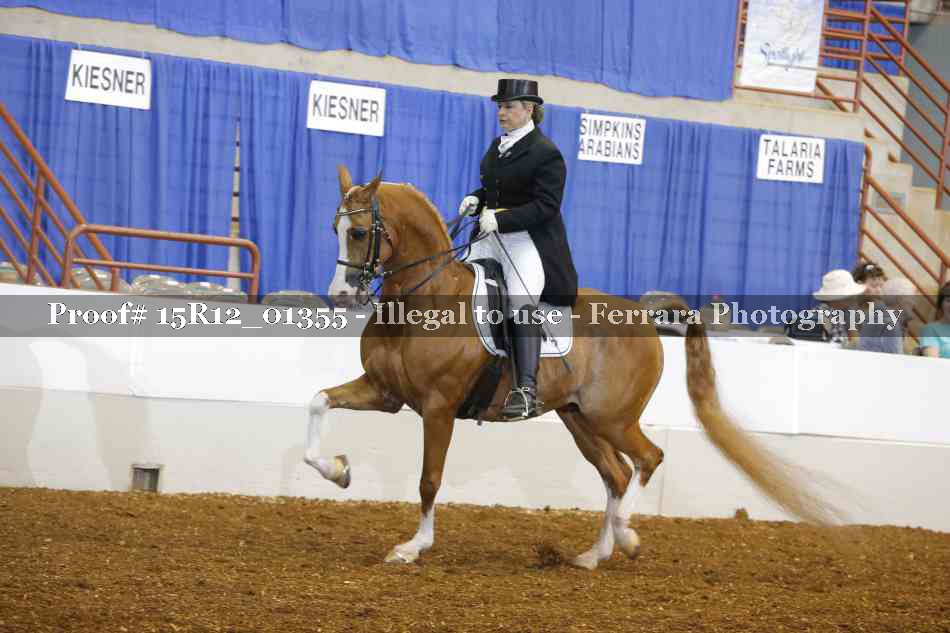 Proof 15R12_01355