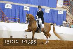 15R12_01355 proof