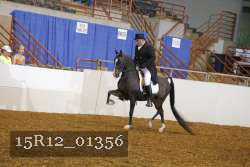 15R12_01356 proof