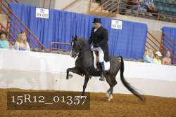 15R12_01357 proof