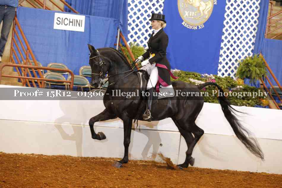 Proof 15R12_01366