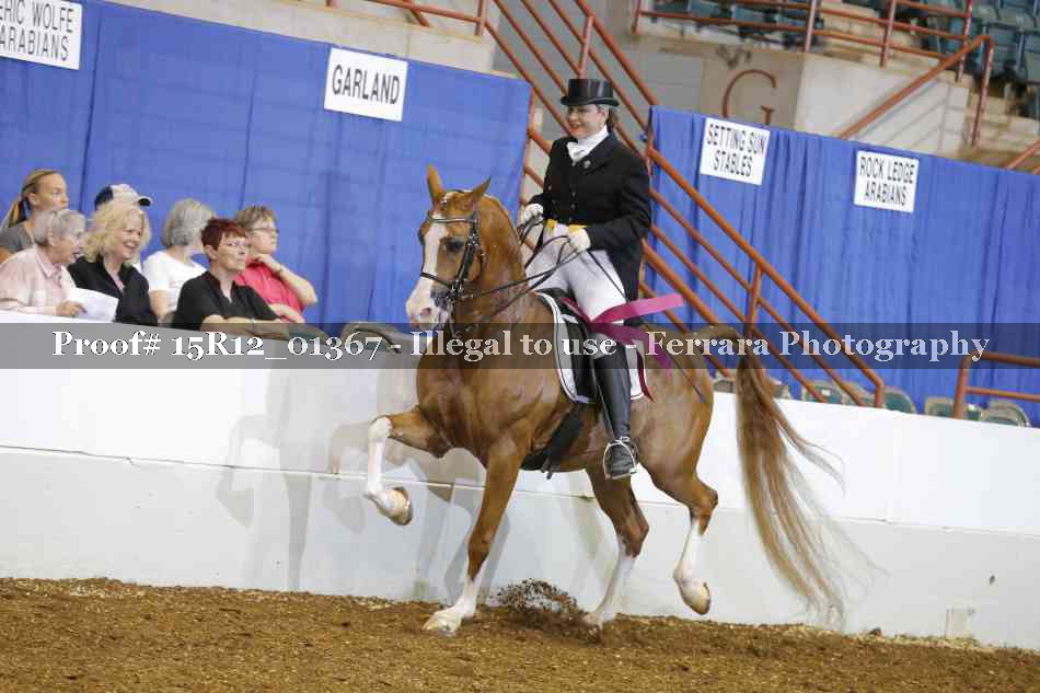 Proof 15R12_01367