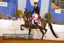15R12_01387 proof