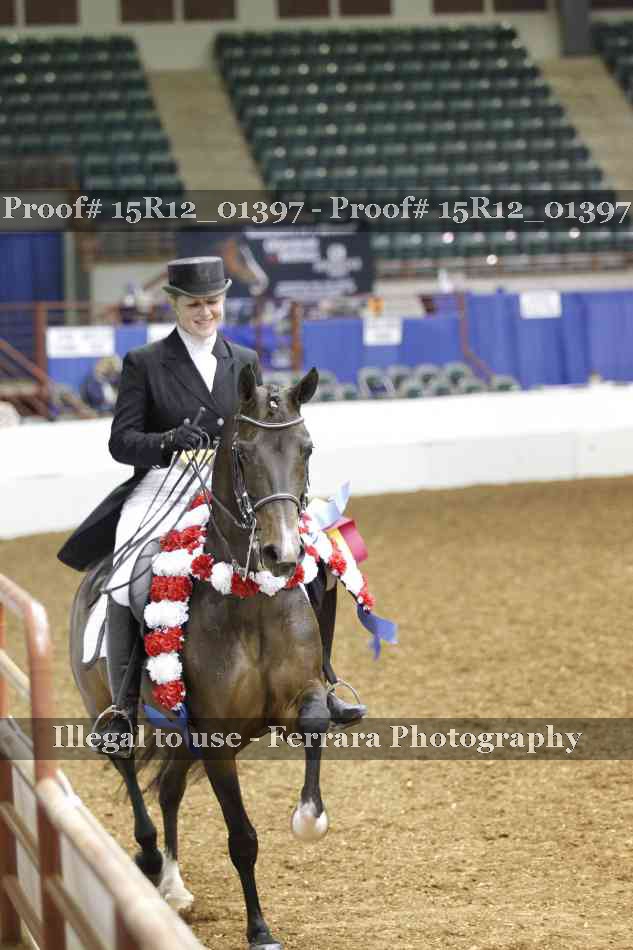 Proof 15R12_01397