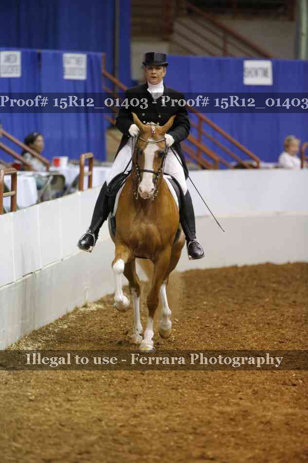 Proof 15R12_01403