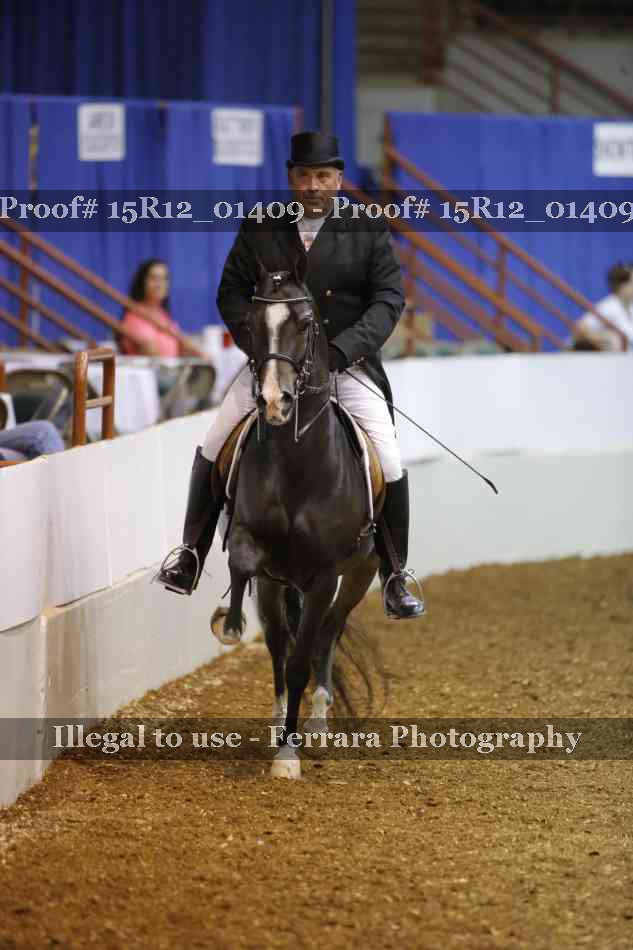 Proof 15R12_01409