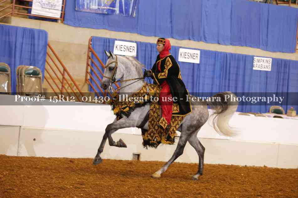 Proof 15R12_01430