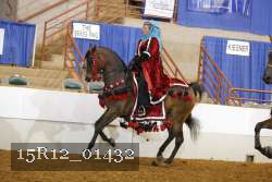 15R12_01432 proof